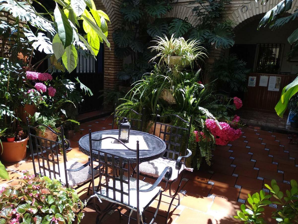 Pension Los Arcos Kordoba Bagian luar foto